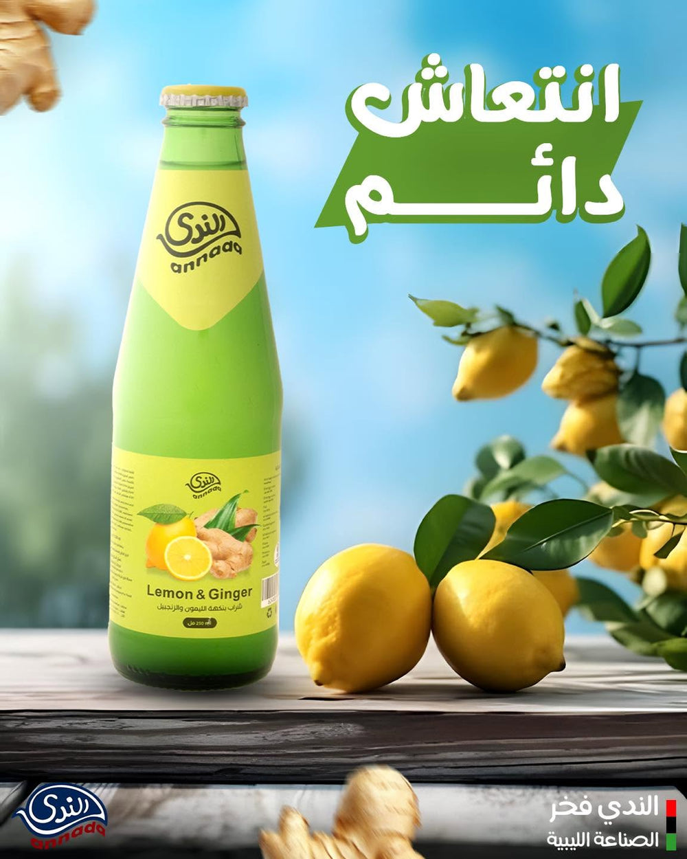 Annada Lemon & Ginger Drink 250ml – Libyan Natural Soft Drink