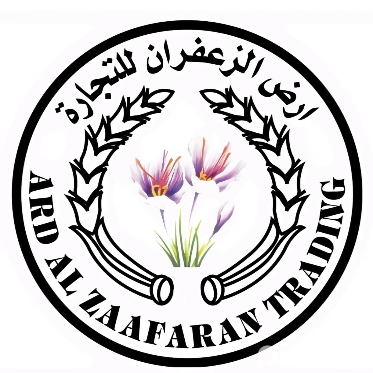 Luxury LongLasting Perfume Oil Collection – Ard Al Zaafaran 10ml AlcoholFree - Health & Beauty:Fragrances:Unisex
