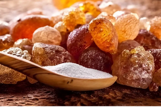 A wooden spoon holds fine white organic arabic gum powder surrounded by translucent amber chunks of acacia senegal gum