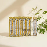 6x Miswak Sticks (6 inch) – 100% natural Salvadora Persica toothbrush with free holder. Herbal oral care for healthy gums &amp; fresh breath.