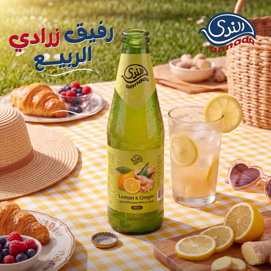Annada Lemon & Ginger Drink 250ml – Natural Soft Drink