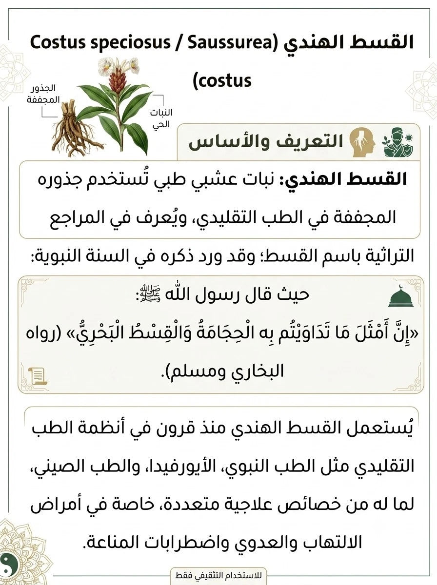 An educational infographic in Arabic about Costus speciosus (Saussurea), showing a botanical illustration of the plant with its roots and leaves, alongside text detailing its botanical and cultural uses.