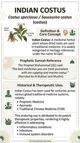 An educational infographic poster titled 'INDIAN COSTUS' detailing its botanical classification, definition, prophetic sunnah reference, and historical therapeutic uses, featuring illustrations of dried roots and leaves.