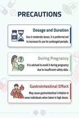An informational infographic titled 'PRECAUTIONS' with three illustrated warning boxes: 'Dosage and Duration,' 'During Pregnancy,' and 'Gastrointestinal Effect,' on a pale mint background with medical icons.