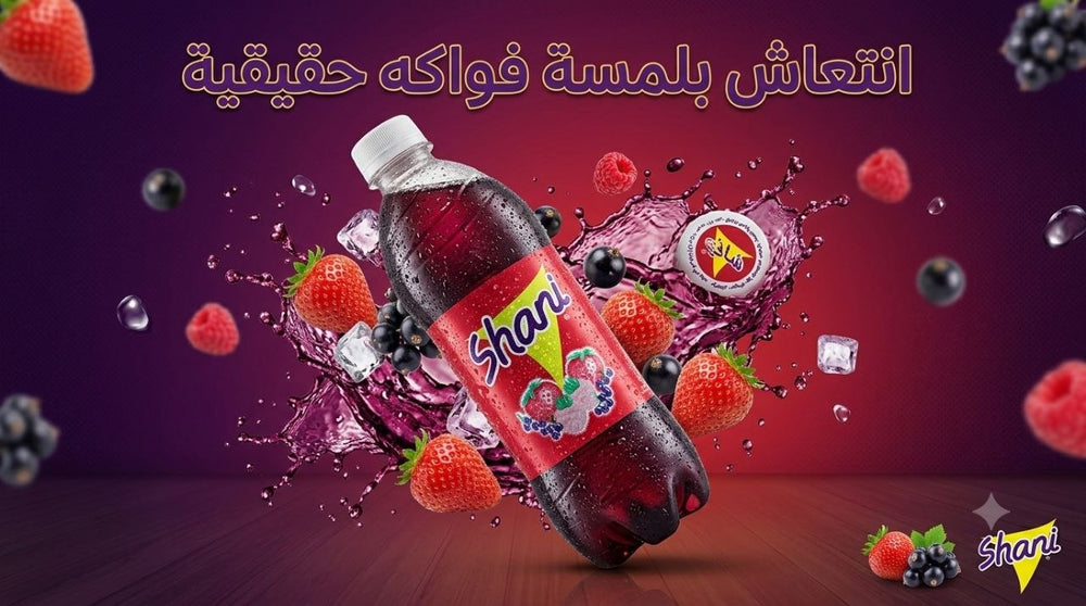 Shani Mixed Berry – Case of 12 × 500ml Bottles | Made in UAE