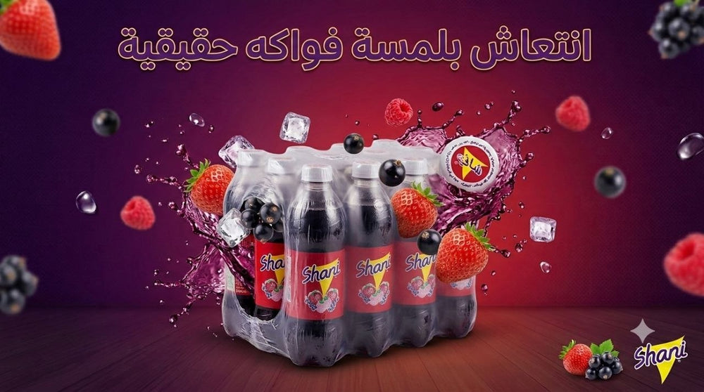 Shani Mixed Berry – Case of 12 × 500ml Bottles | Made in UAE