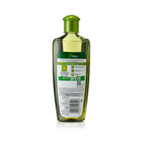 Bottle of olive oil with a green cap on a white background