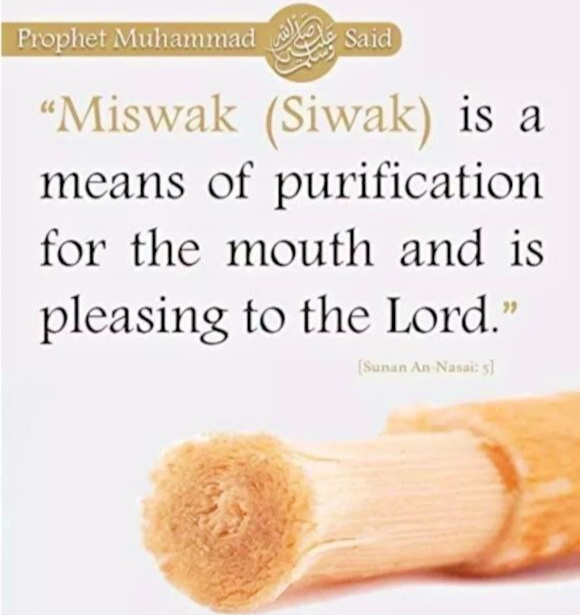 6 Pack Hemani & AlFalah Miswak Sticks – 6’’ Natural Toothbrush– Herbal Oral Care - Health & Beauty:Oral Care:Manual