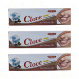 Clove Toothpaste Gel – Natural Herbal Formula for Gum Health & Fresh Breath - Health & Beauty:Oral Care:Toothpaste