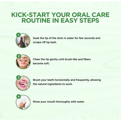 Instructions for using a natural toothbrush on a green background