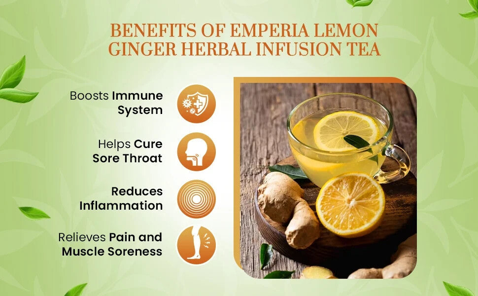 iSiS Herbal Tea – 100% Natural | Hibiscus Anise Ginger Fenugreek 5 packs x 20 - Home Furniture & DIY:Food &