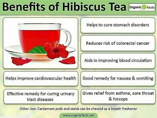 iSiS Herbal Tea – 100% Natural | Hibiscus Anise Ginger Fenugreek 5 packs x 20 - Home Furniture & DIY:Food &