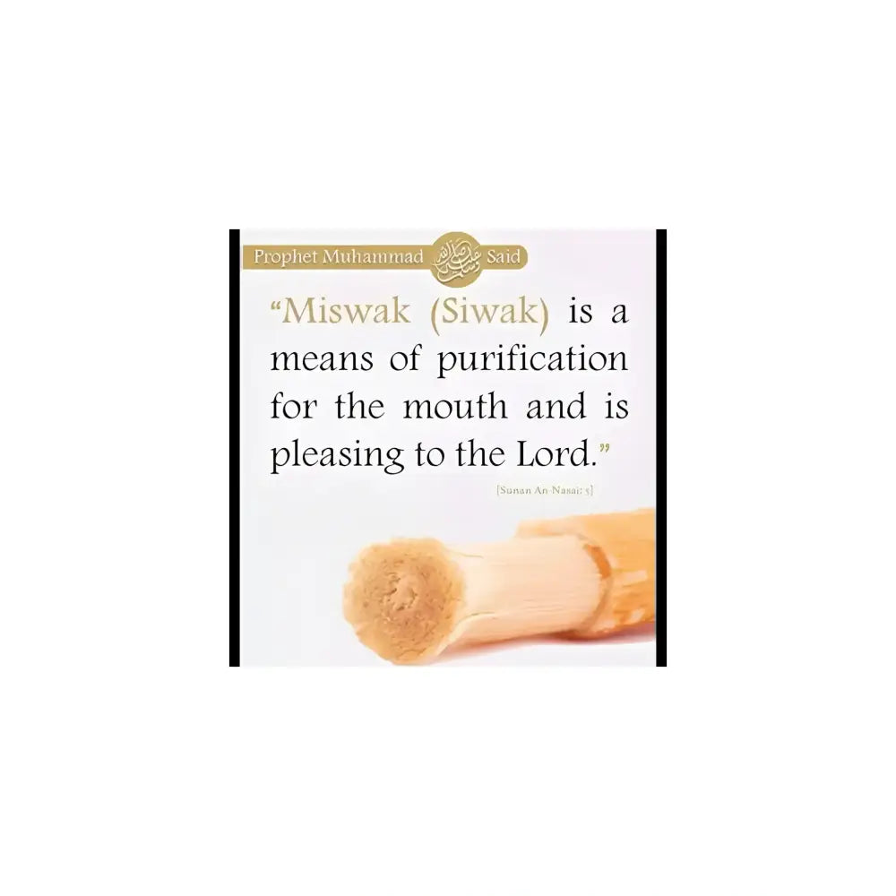 Miswak stick with text about purification on a white background